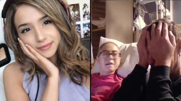 Instagram, Pokimane / Twitch, alecludford