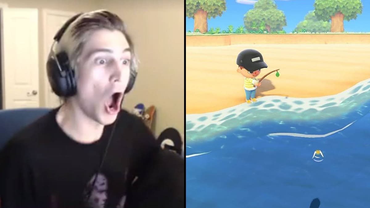 xQc | Animal Crossing : New Horizons