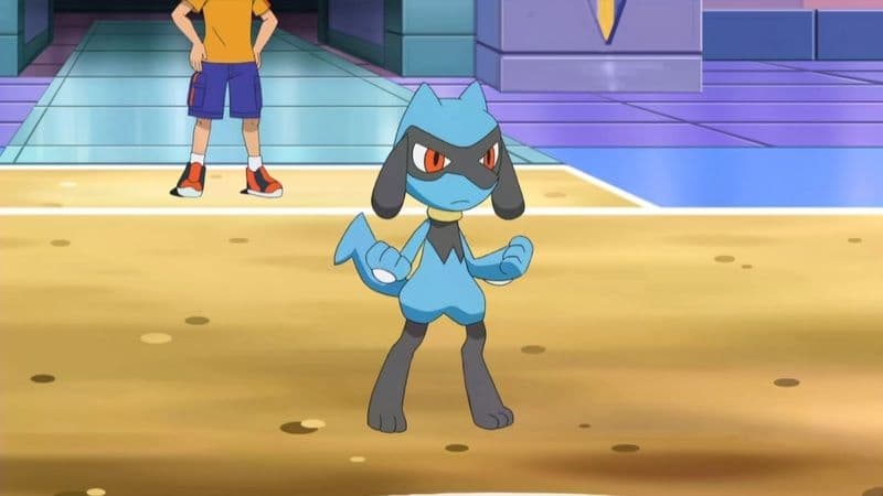 Dessin animé Pokémon Riolu