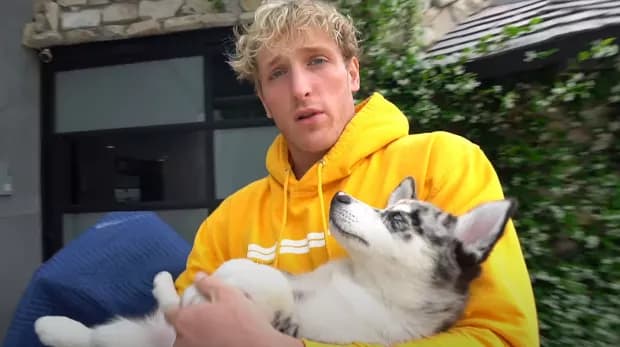 Logan Paul a démenti les accusations comme quoi il aurait poussé son chien dans un lac