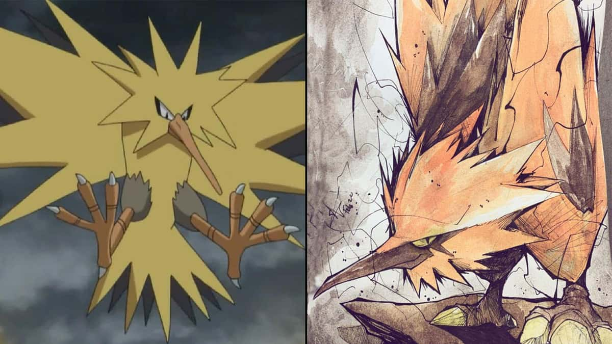 Dessins des 3 oiseaux légendaires Pokémon