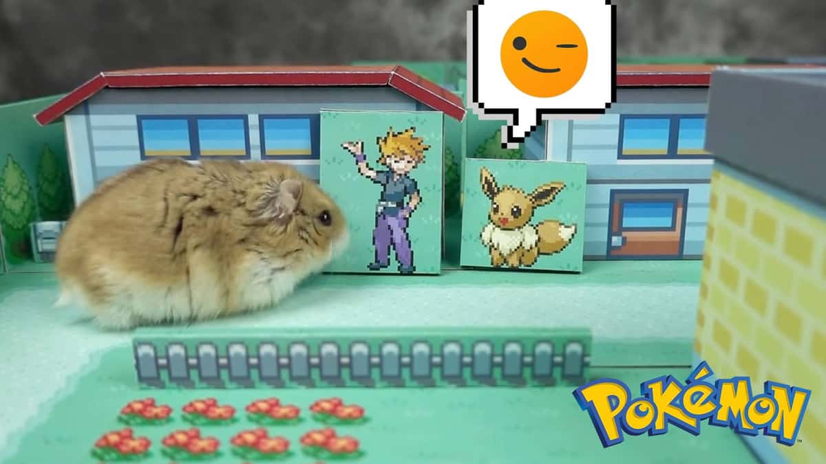 Labyrinthe Pokémon pour hamster