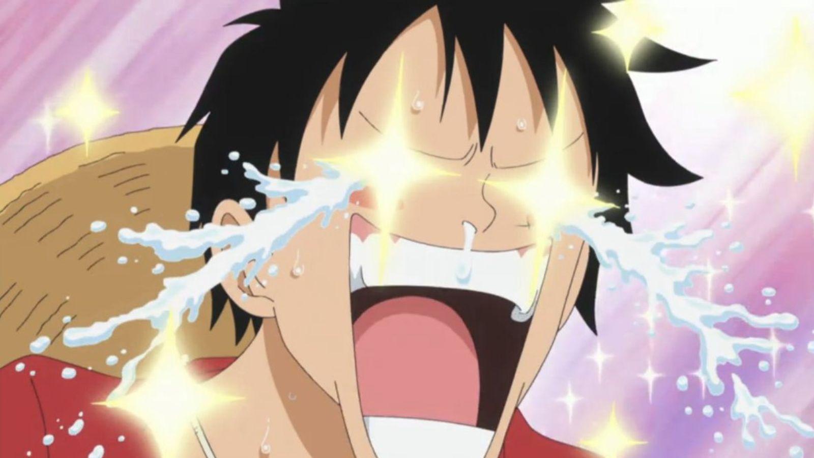 Luffy heureux dans l'anime One Piece