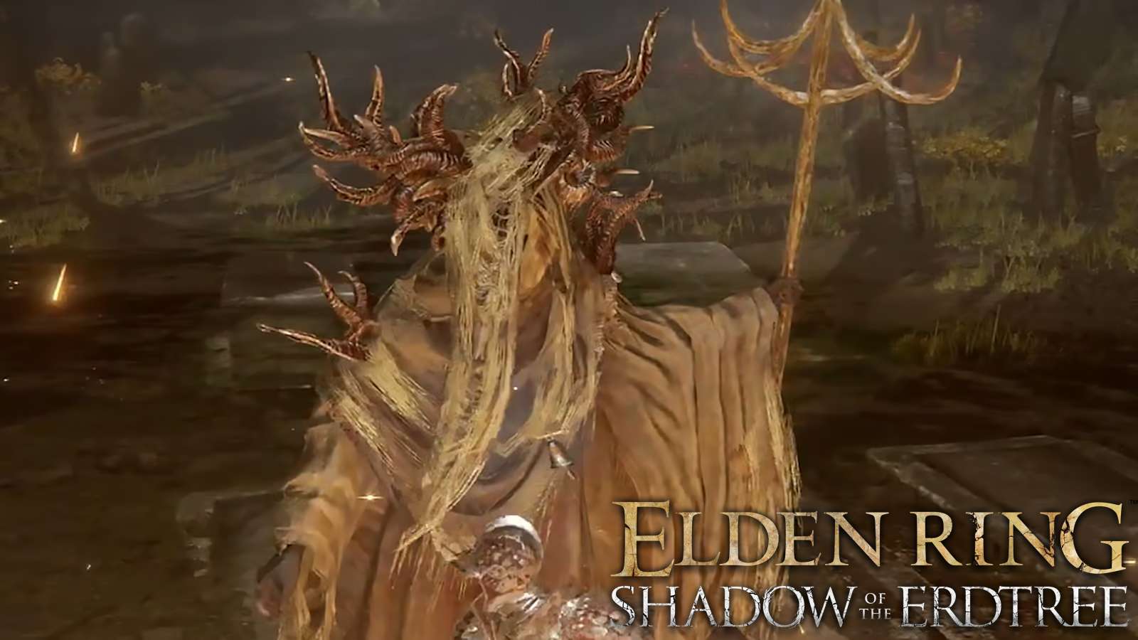 Jori, Inquisiteur en chef dans Elden Ring Shadow of the Erdtree