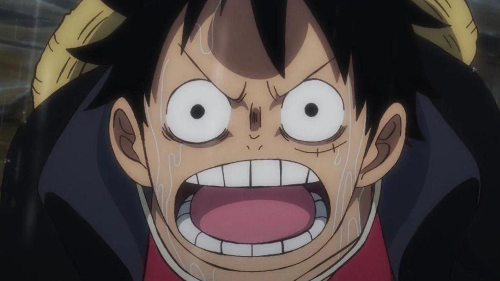 Monkey D. Luffy dans l'anime One Piece