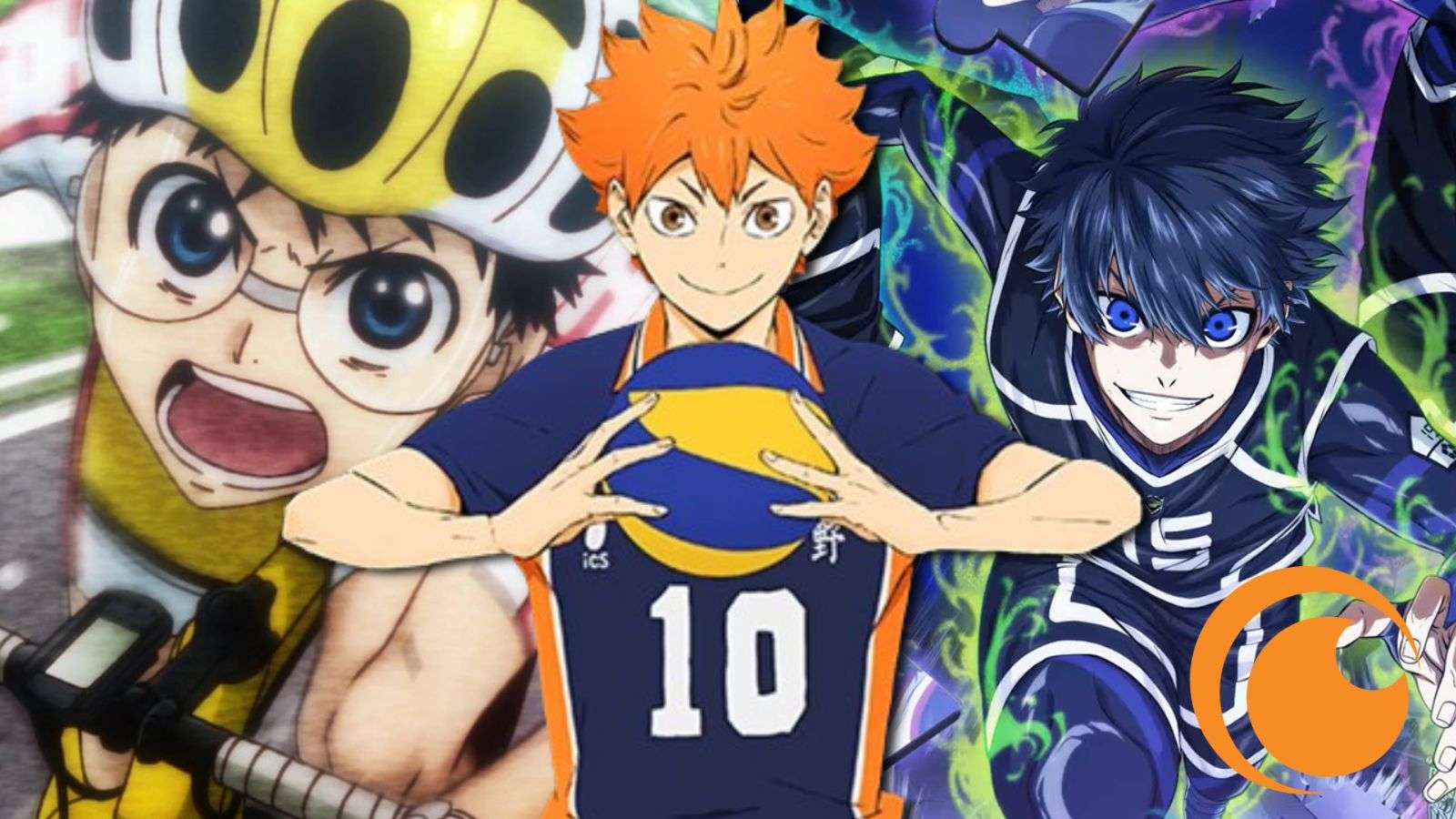 Haikyu!!, Yowamushi Pedal et Blue Lock