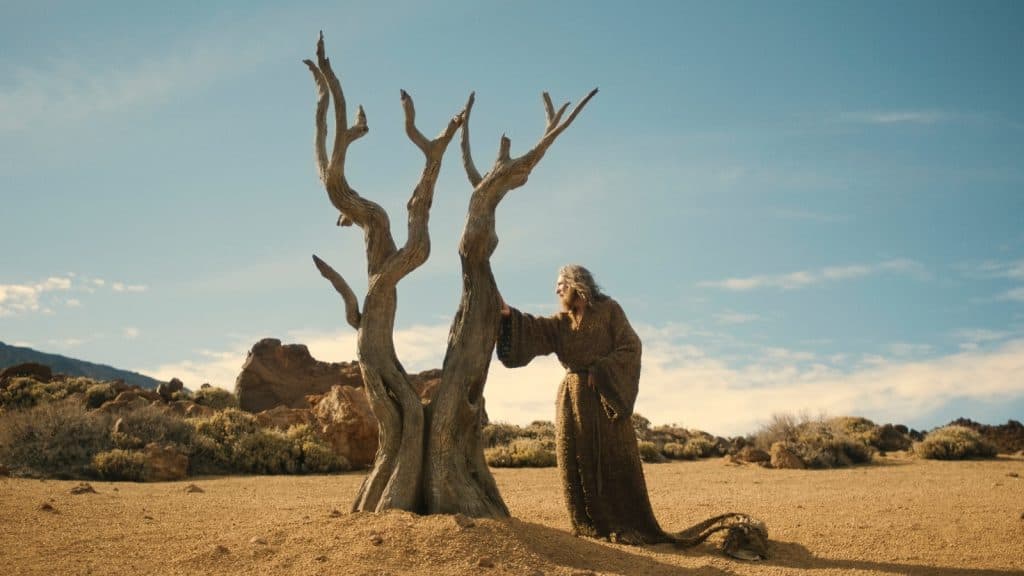 un homme dans des guenilles (l'étranger) touche un arbre mort dans un désert